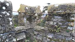 acastle
                          111210.jpg